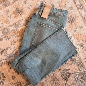 NWT Madewell Curvy Perfect Vintage Jean Coney Wash Destroyed Edition 30 petite